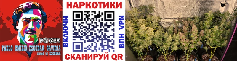 Купить Жиздра АМФ  Бошки Шишки  А ПВП  Кодеин  Cocaine  ГАШИШ  Меф мяу мяу 
