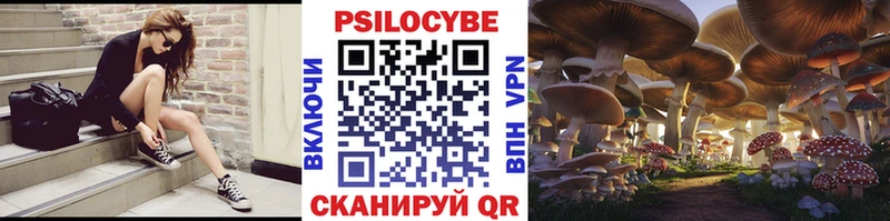 Псилоцибиновые грибы мухоморы  даркнет сайт  Жиздра 